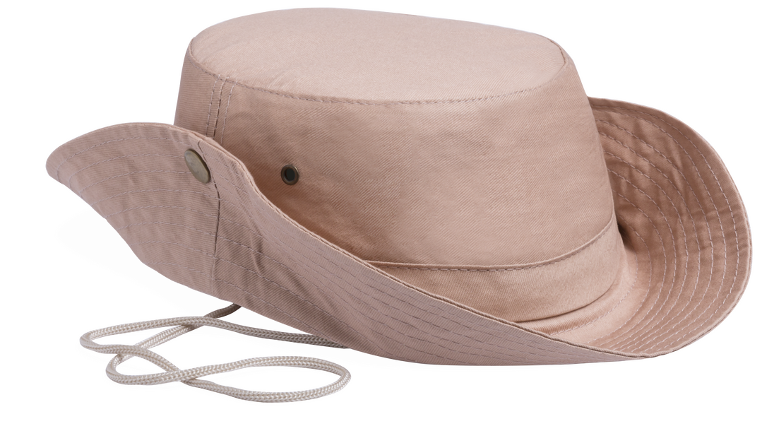 Safari